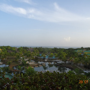 DSC04703