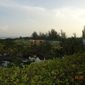 DSC04705
