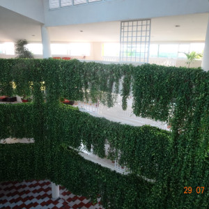 DSC04711