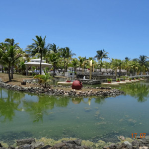DSC03552