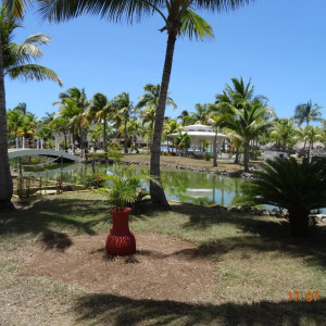 DSC03554