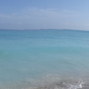 DSC04585