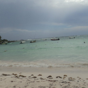 DSC03070
