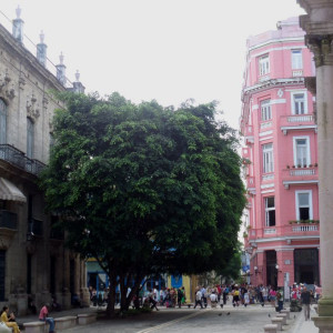 SAM_0915