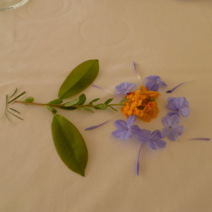P1090548