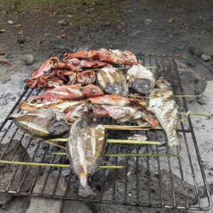 Ilhéu Rolas 40