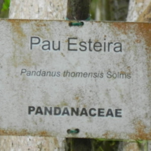 Jardim Botânico 1