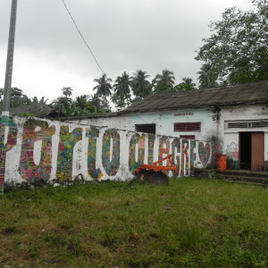Roça Porto Alegre 1