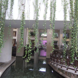 PICT0009