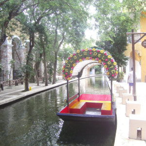 PICT0019