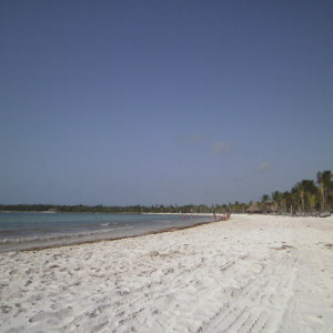 PICT0382