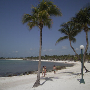 PICT0392