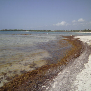 PICT0415
