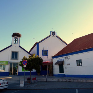 DSC_1437a (Copiar)