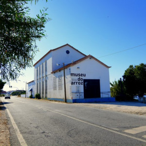 DSC_1452a (Copiar)