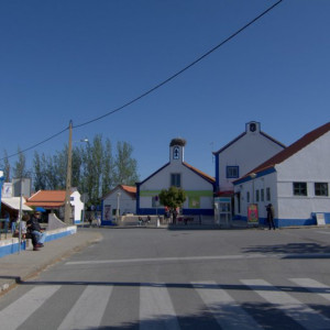 DSC_1469a (Copiar)