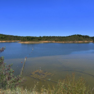 DSC_1551a (Copiar)