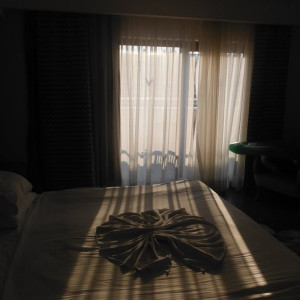 DSCF0535