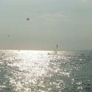 DSCF0517