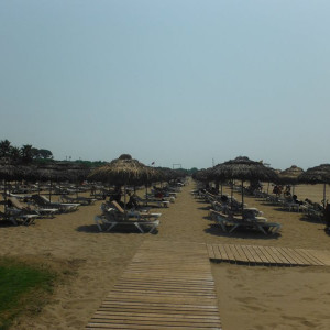 DSCF0413