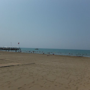 DSCF0412