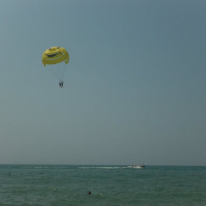 DSCF0409