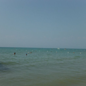 DSCF0384