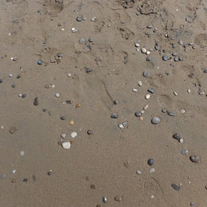 DSCF0379