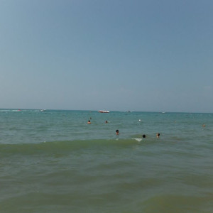 DSCF0378
