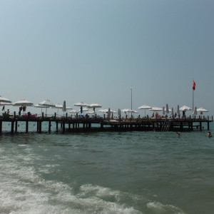 DSCF0377