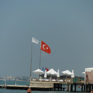 DSCF0374