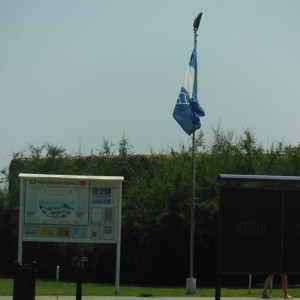DSCF0342