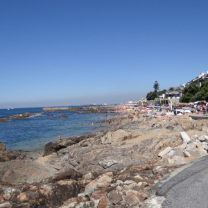 Foz