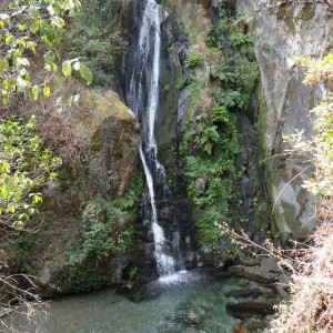 Fraga da Pena