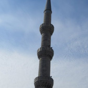 IMG_1184