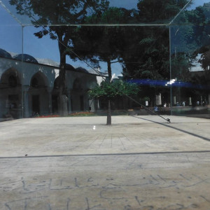 DSCF0631