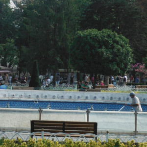 DSCF0617