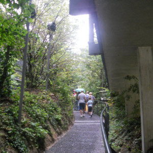 DSCN7500