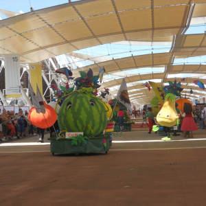 DSCN7958
