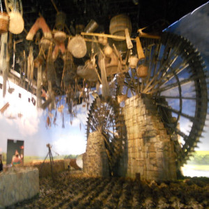DSCN8060