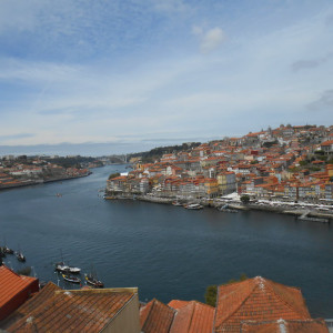 Vista do Jardim do Morro