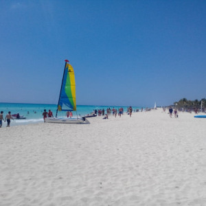 IMG_20140324_105712