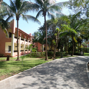 Riu Tequilla