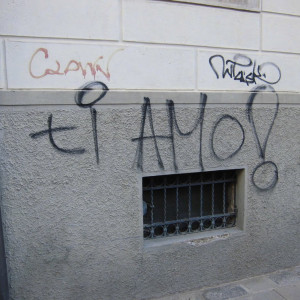 CIMG0557 - Copia