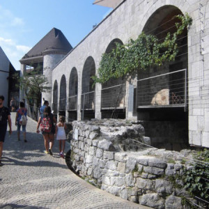 CIMG0925