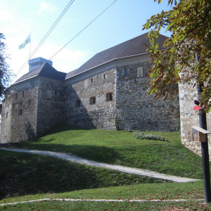 CIMG0932
