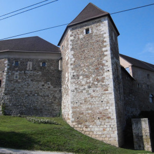 CIMG0933