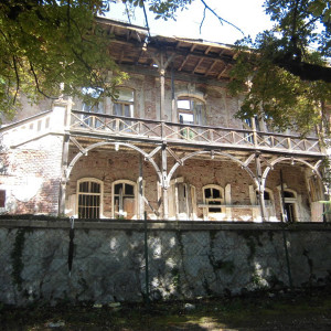 CIMG1005