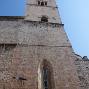 CIMG1434