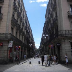 CIMG1445